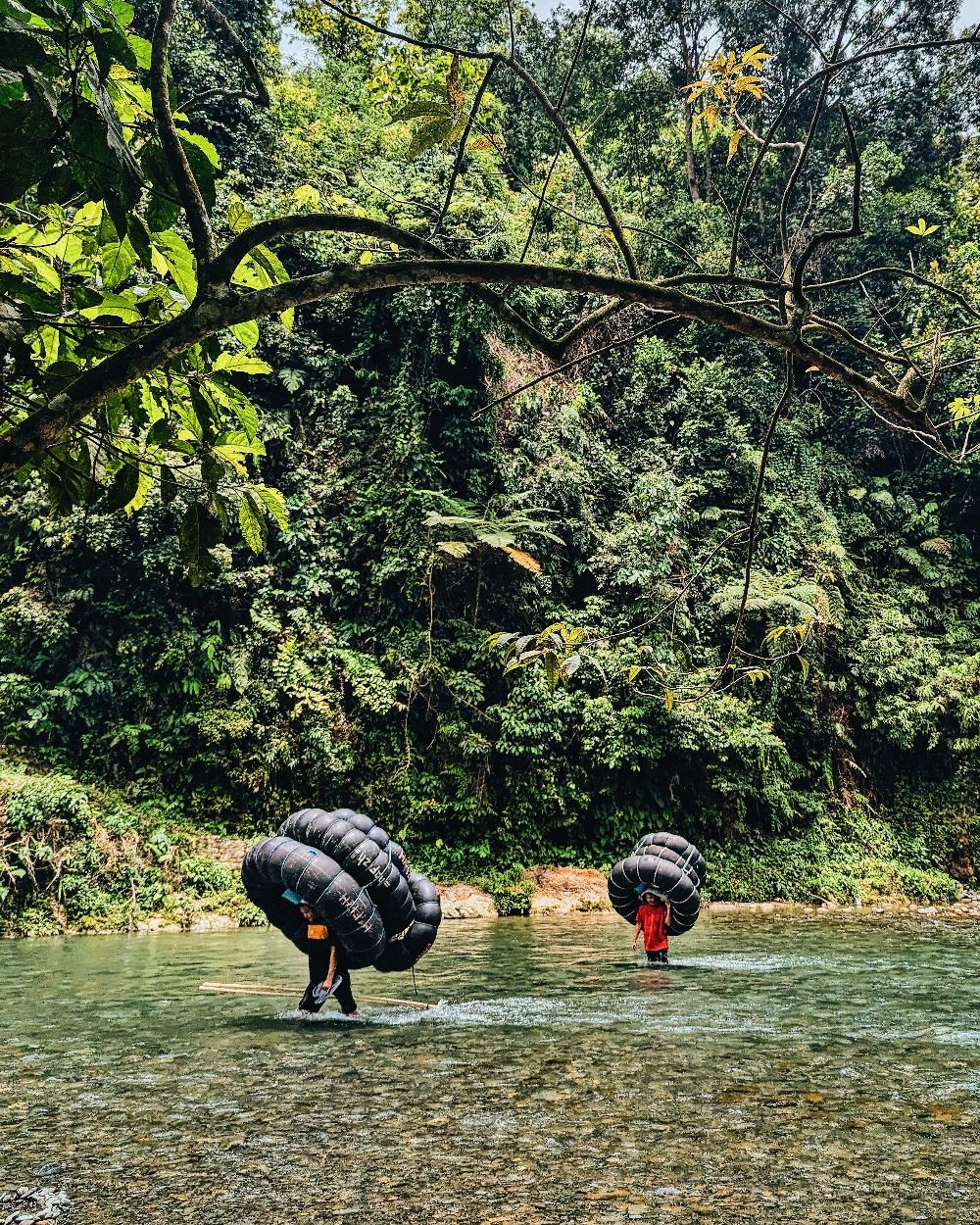 See orangutan in Bukit Lawang
