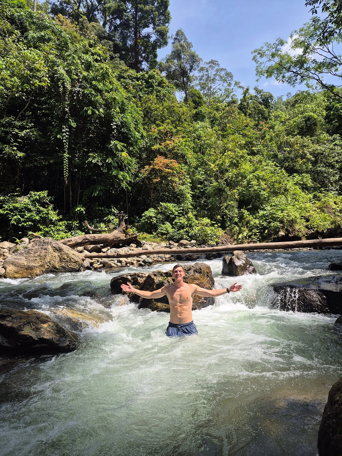 Thomas Leaf Monkey in Sumatra