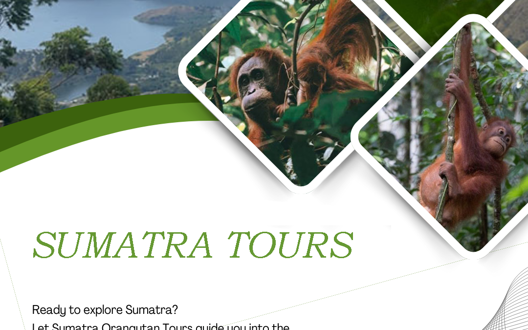 Sumatra Tours | Discover the Best Adventures in Indonesia Wildest Island