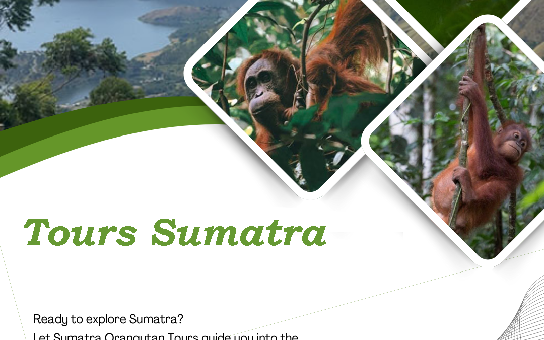 Tours Sumatra | Discover the Wild Beauty of Indonesia’s Largest Island