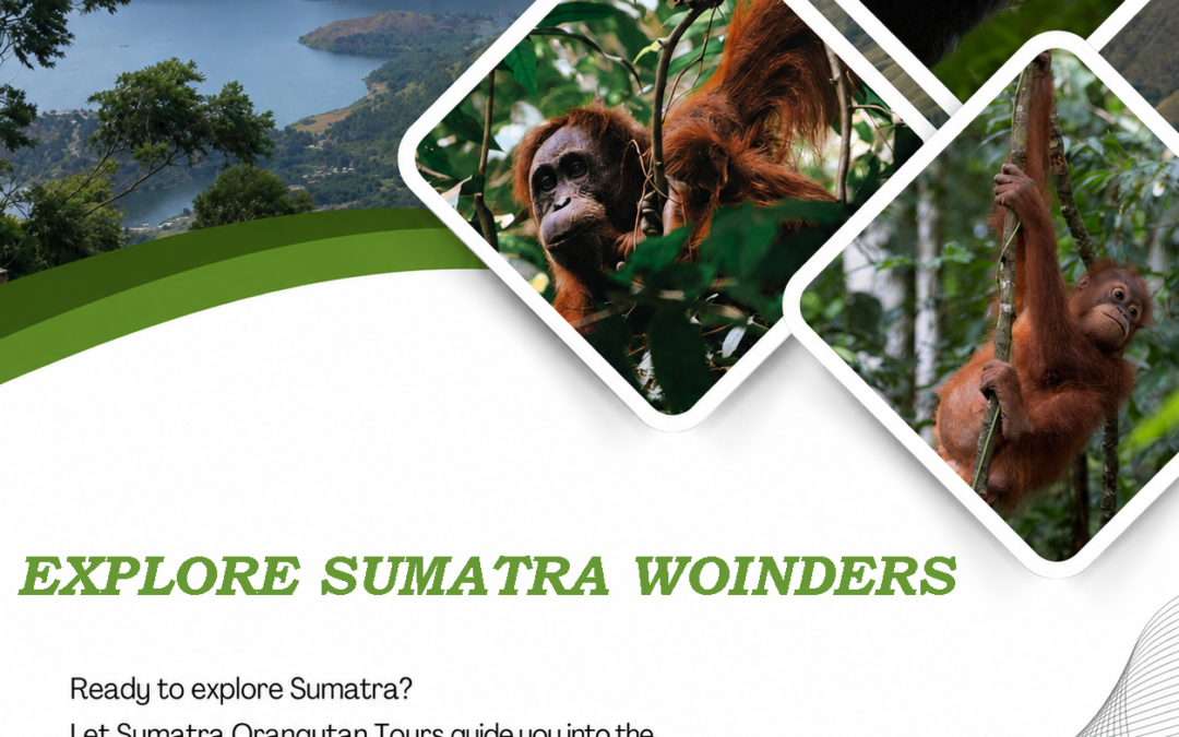 Explore Sumatra Wonders | Discover the Best of North Sumatra with Local Experts