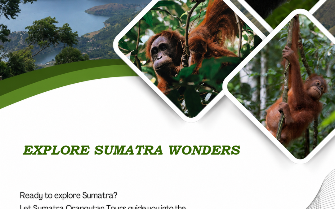 Explore Sumatra Wonders – Experience Nature at Its Wildest