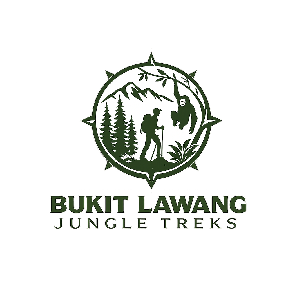 bukit lawang jungle treks